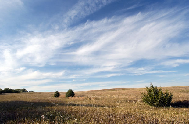Nine Mile Prairie